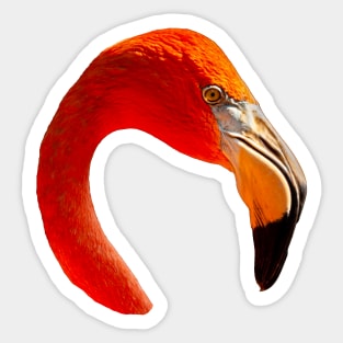 Graceful Flamingo Sticker